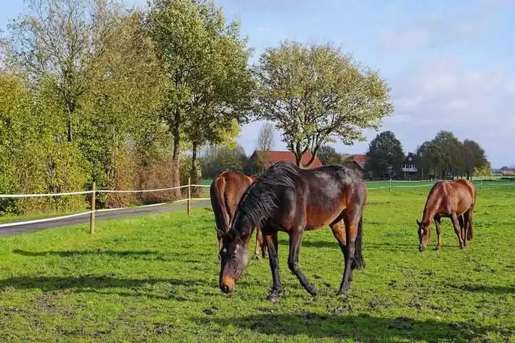 MILF Beckum Sexanzeigen in der Nähe